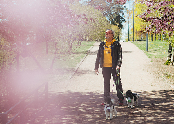 Harri Anttila ulkoiluttaa kahta villakoiraansa puistossa.