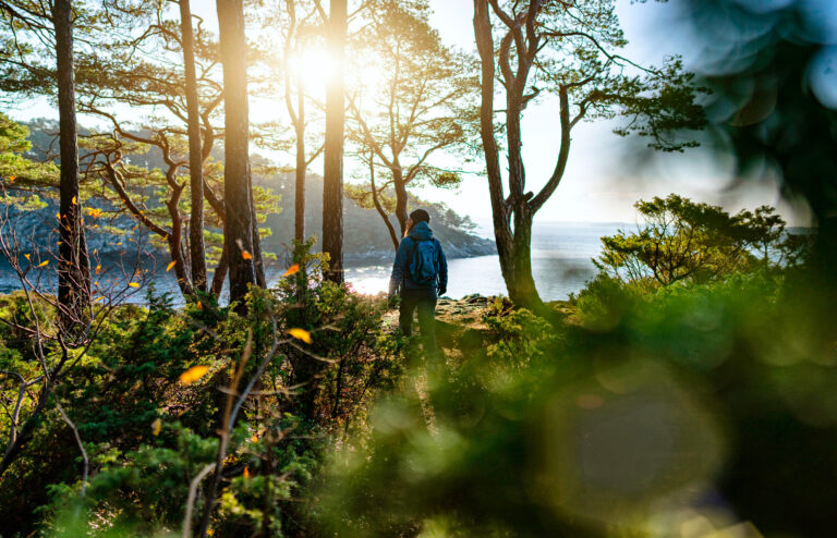 Kehon puolustusjärjestelmä on älykkäämpi kuin arvaammekaan
