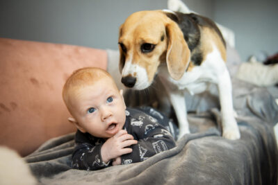 Pieni poika ja beagle-rotuinen koira sohvalla